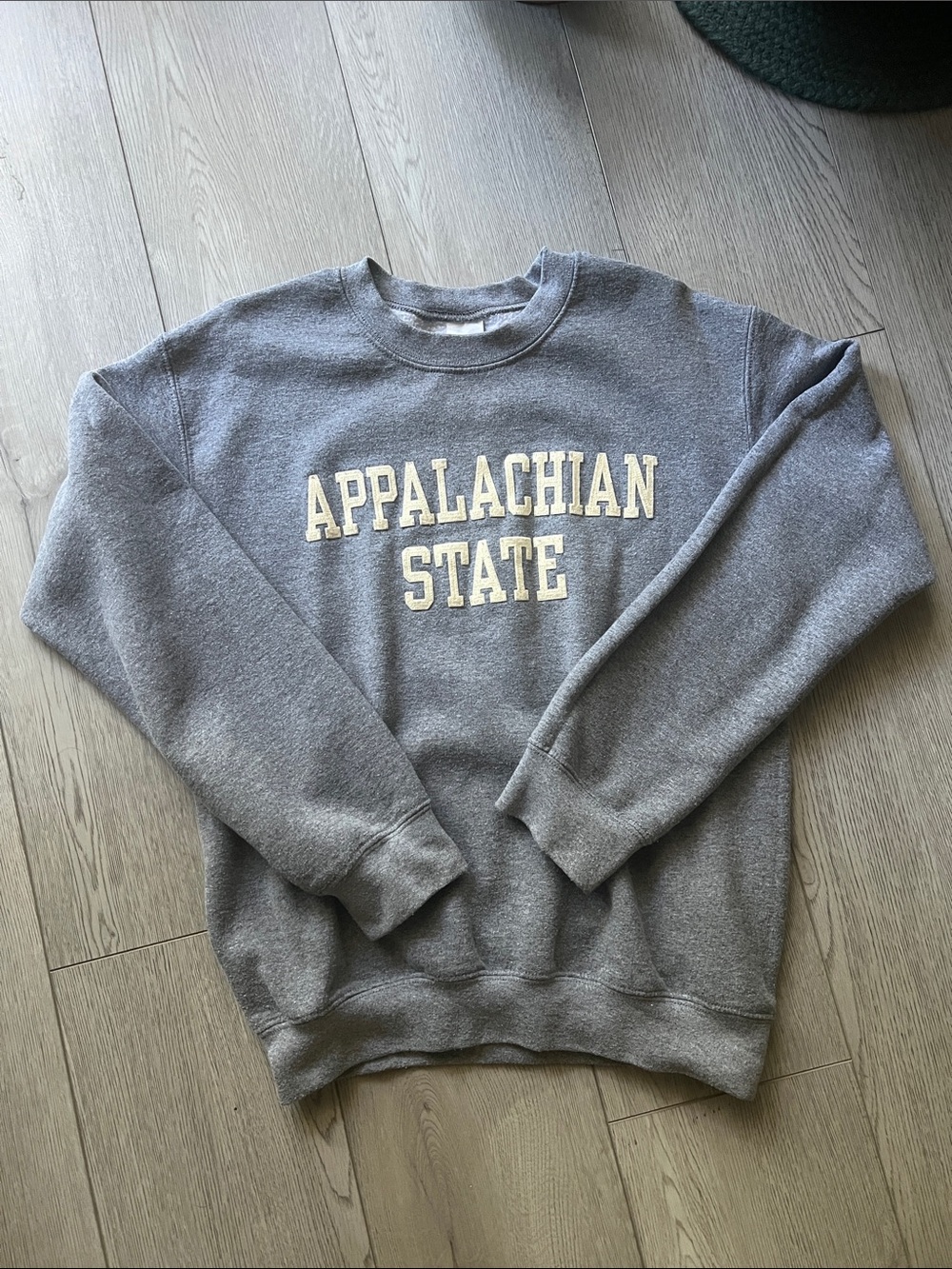 Appalachian State University sweatshirt
